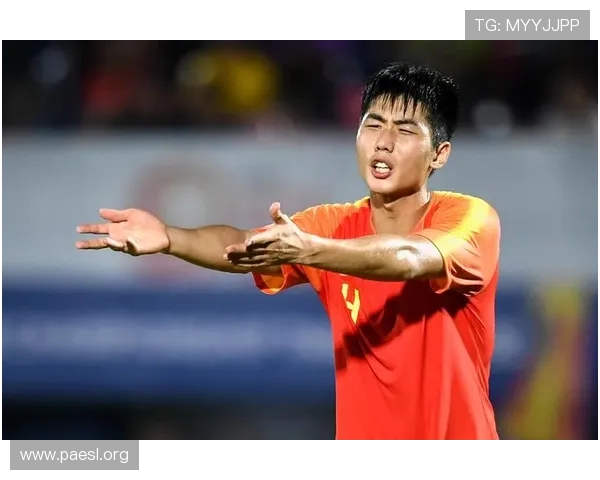 03负中国国奥越南粉丝砸电视