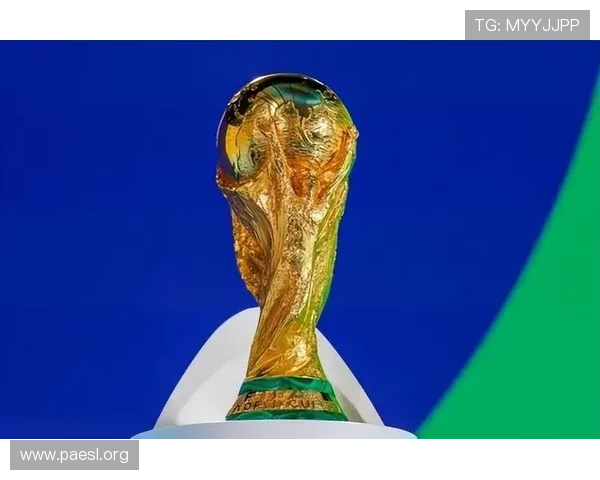 国际足联遭批世界杯管控失当争 国际足联遭批世界杯管控失当争